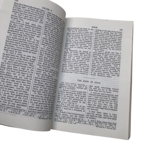 BOOK OF MORMON 1980 - Gold Edition Hieroglyph’s Joseph Smith Ladder Day Temple - Bild 16 von 22