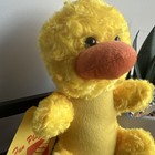 Picture 4 of 6