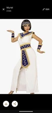 Forum Novelties New princess of the pyramids Halloween costume adult fits up to