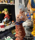 Foto 5 di 12