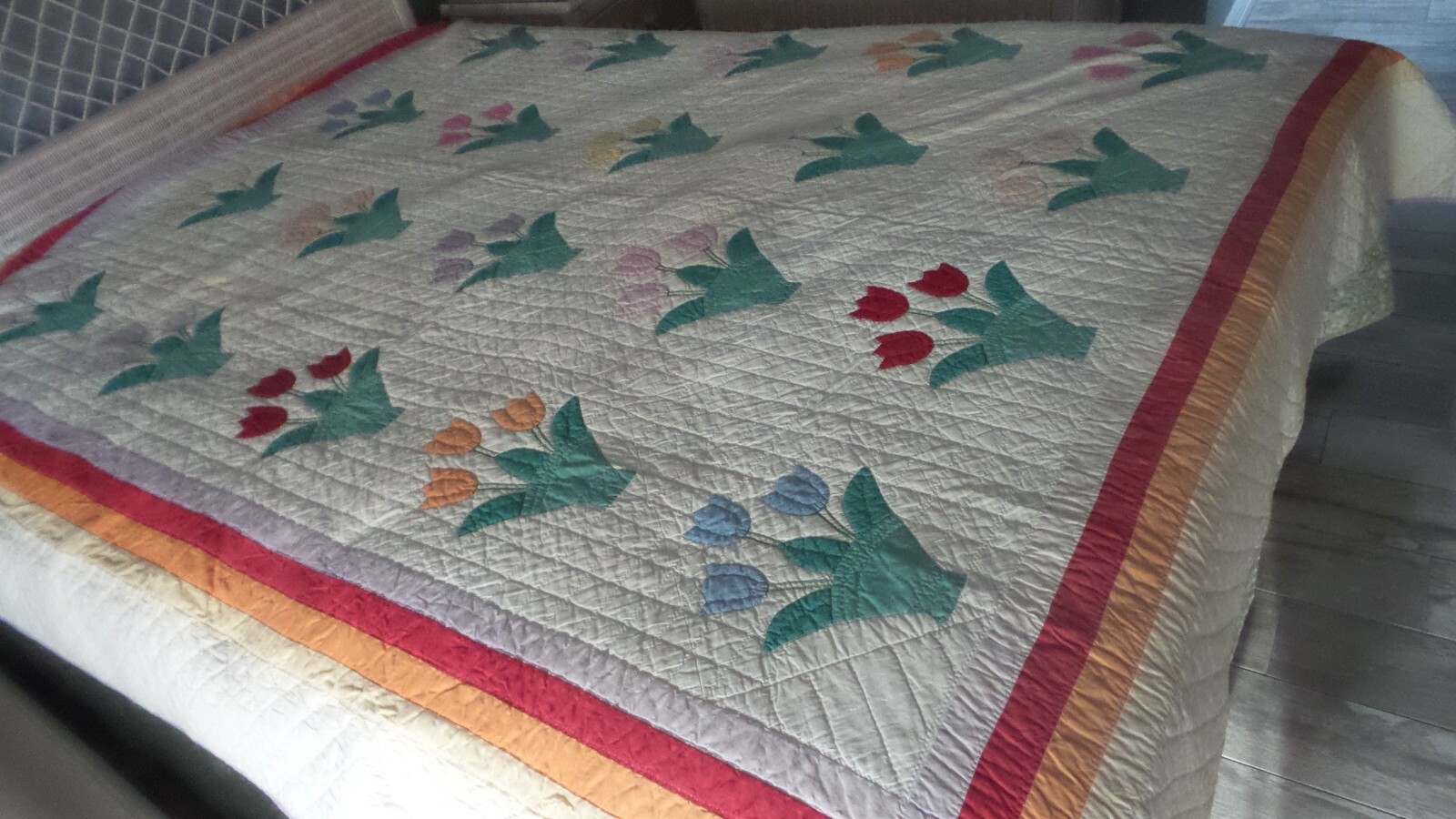 Picture 4 of 12