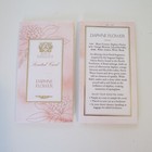 Antica Farmacista Scent Card Lot of 2 Sealed - Damascena Rose, Orris & Oud
