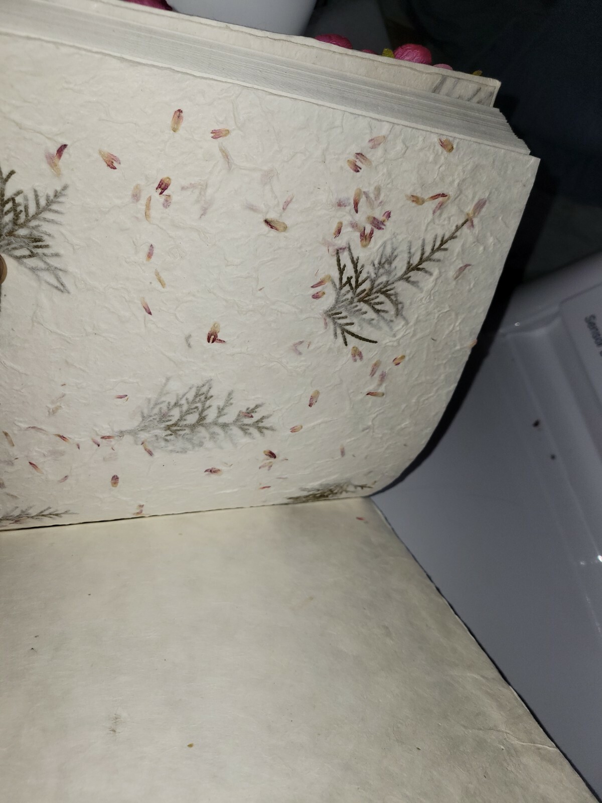 Picture 5 of 5