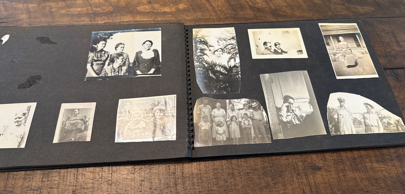 Picture 12 of 22