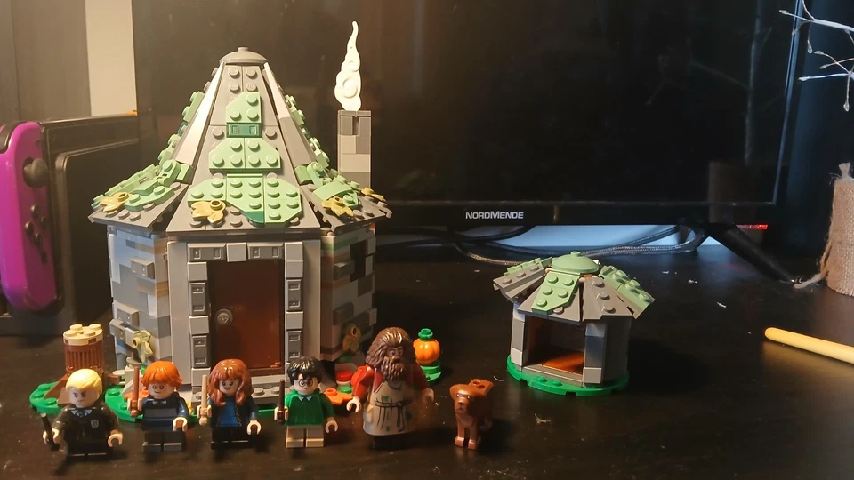 LEGO Harry Potter 76428 Hagrid's Hut: An Unexpected Visit, foto 1 di 5