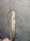 Picture 4 of 9