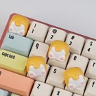 Afbeelding 11 van 13