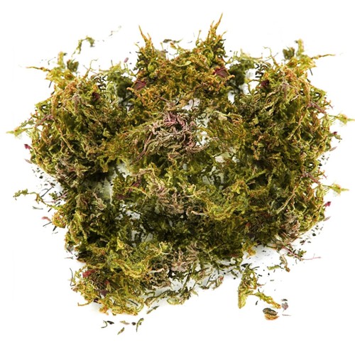 Fake Moss Artificial Moss For Potted Plants Greenery Moss Home Decor Fairy 1PC - Picture 2 of 33