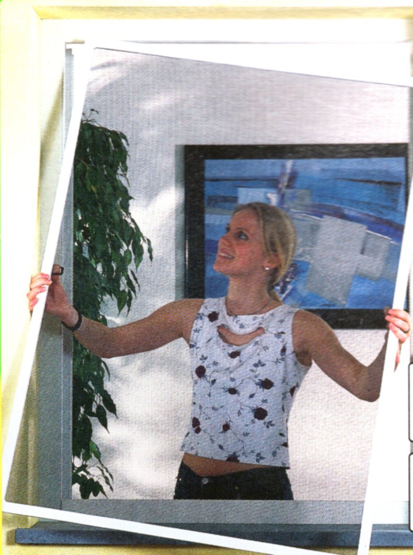 Picture 19 of 21