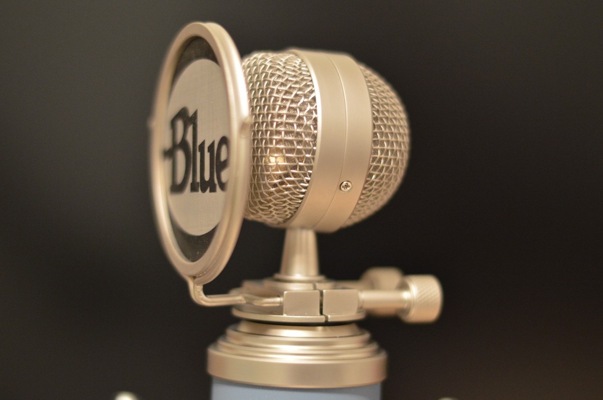 Blue Microphones Bluebird Condenser Cable Professional Blue Microphones Bluebird Condenser Cable Professional