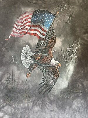 The Mountain ''Flag Bearing Eagle'' Patriotic American USA 4th of July LS Tie Dye