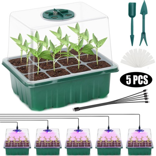 5 Stück Mini Gewächshaus Anzucht Zimmergewächshaus Anzuchtkasten mit Licht DHL - Bild 2 von 17