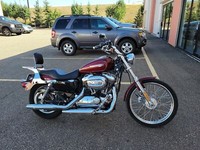 2009 Harley Davidson XL1200 Sportster Custom - Low Miles!