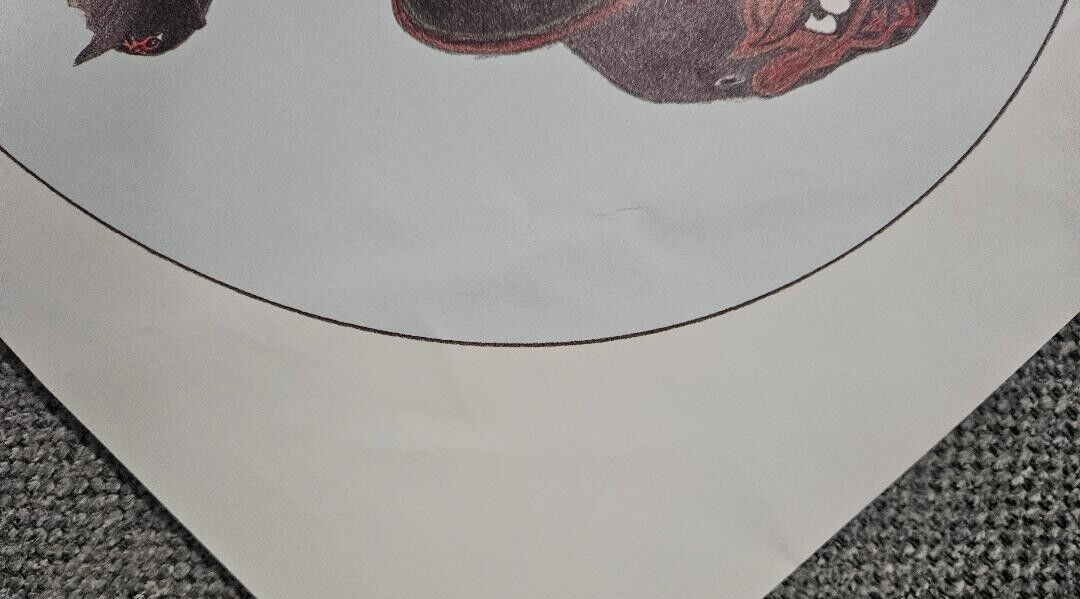 Picture 5 of 7