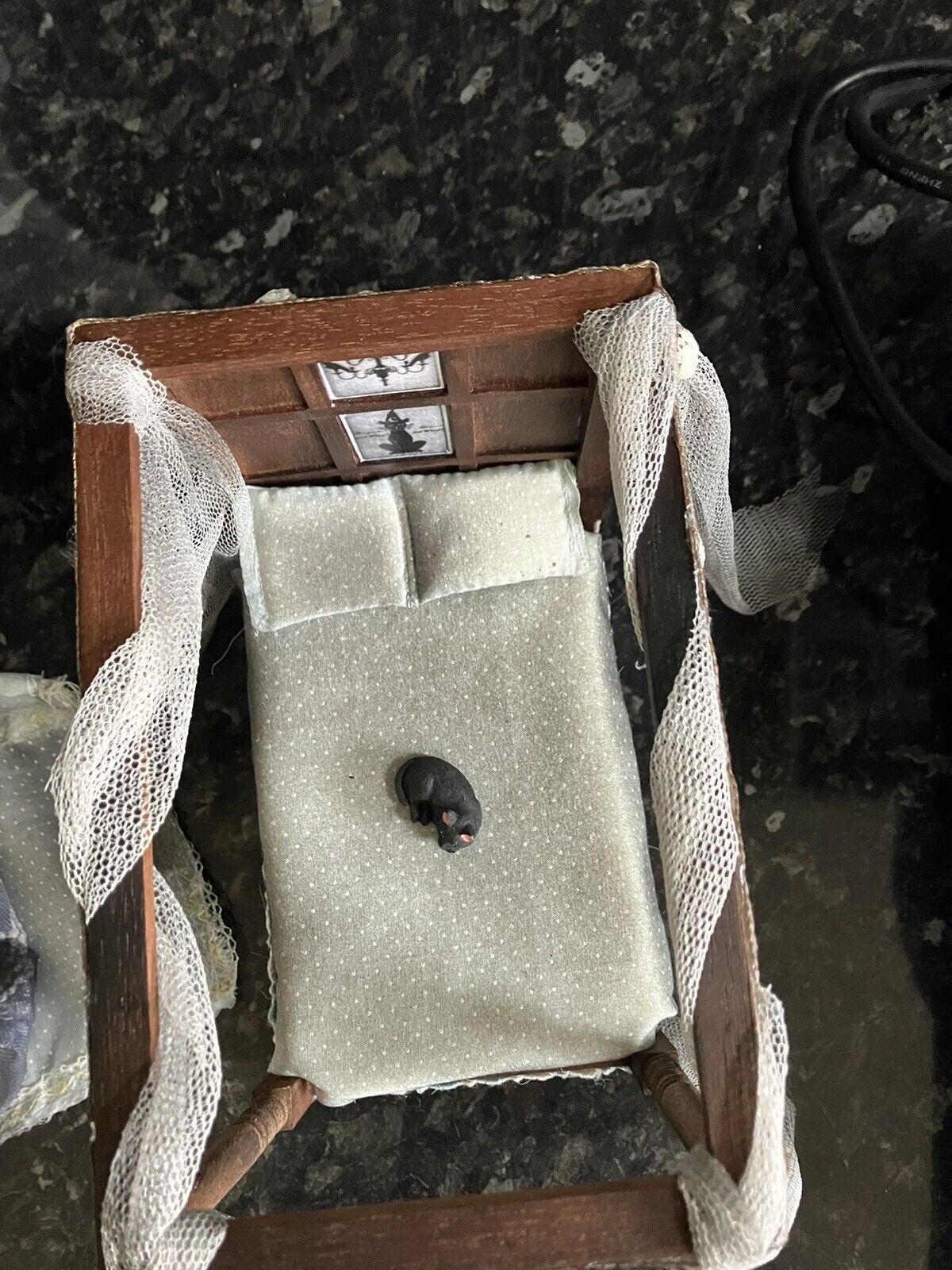 Picture 7 of 11