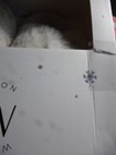 Picture 5 of 5