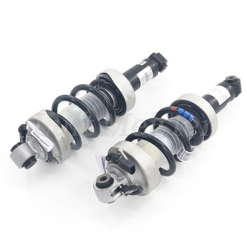 Front Shock Absorbers for 2009-2015 AUDI R8 420412019AJ 420412020AJ Left Right - Picture 3 of 6