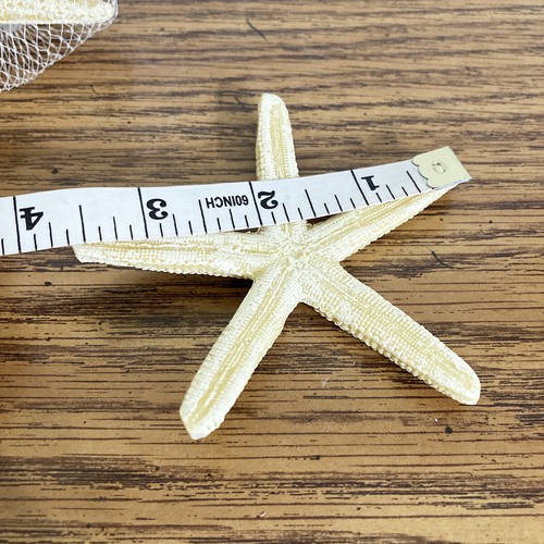 Paquete decorativo de 6 estrellas de mar de 3,5" náuticas de playa costera mar - Imagen 4 de 5