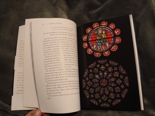 Visions of Mary : Art, Devotion, and Beauty of Chartres Cathedral by J Kimberly - Picture 8 of 11