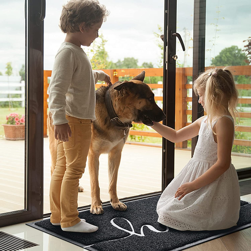 Door Mat (30"X17.5",Black), Welcome Mat Low Profile Front Doormat Floor Mat Non - Picture 6 of 12