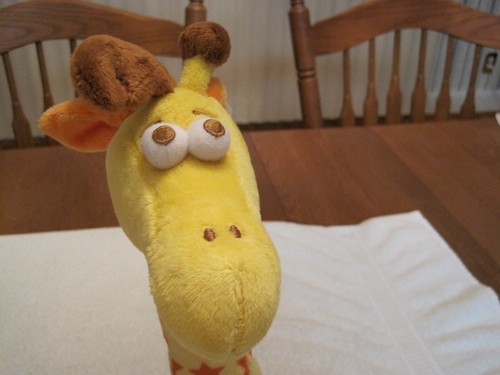 2017 TOYS R US RARE 17" PLUSH STUFFED ANIMAL GEOFFREY GIRAFFE--NEW WITH TAGS - Picture 12 of 14