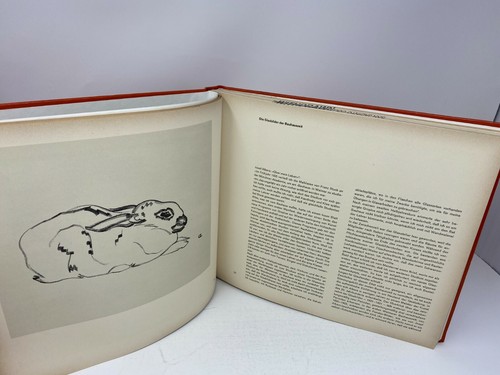 Josef Albers: Das Werk des Malers und Bauhausmeisters als Beitrag zur Visuellen  - Picture 3 of 7