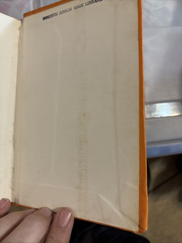 FLORENZ BEDEUTET FLÜSTERNDES MÄDCHEN EINE HOPI-INDIANERGESCHICHTE VON HEUTE - Bild 11 von 13