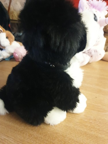 Black And White Dog Door Stop . Lovely And Soft. Weighs 55g - Bild 4 von 7