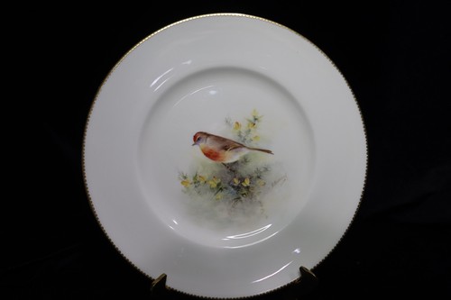 Royal Worcester Multi-Motif Birds Bone China 12 Dinner Plates Artist E. Townsend - Picture 2 of 24