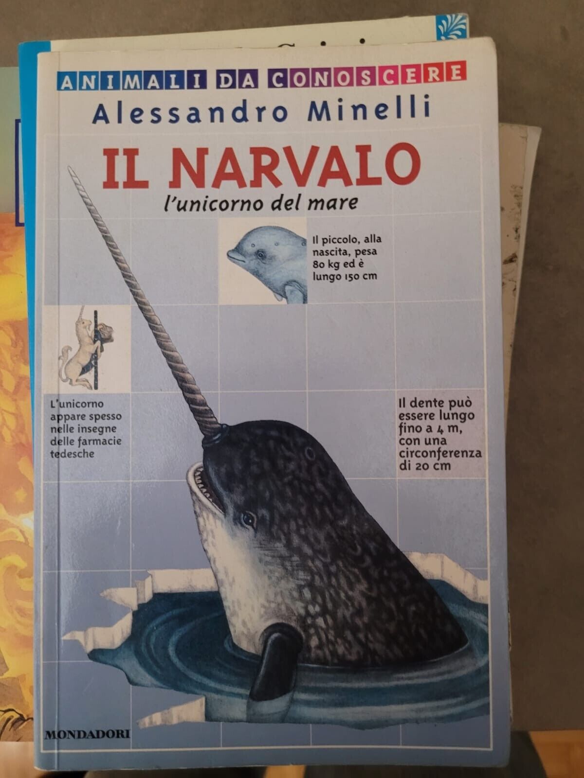 Foto 1 di 1