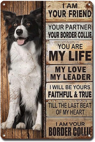 Metal Sign Tin Sign Vintage Wall Art I Am Your Friend Gift for Greyhound Lovers - Picture 26 of 135
