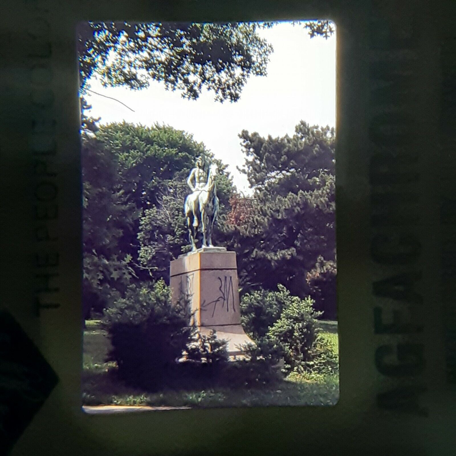 Bild 8 von 12