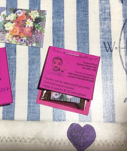 Susies 💜 Beautiful Flower 🌸 Mix 2200+ Seeds (Alyssum) Instructions Included x - Bild 10 von 10
