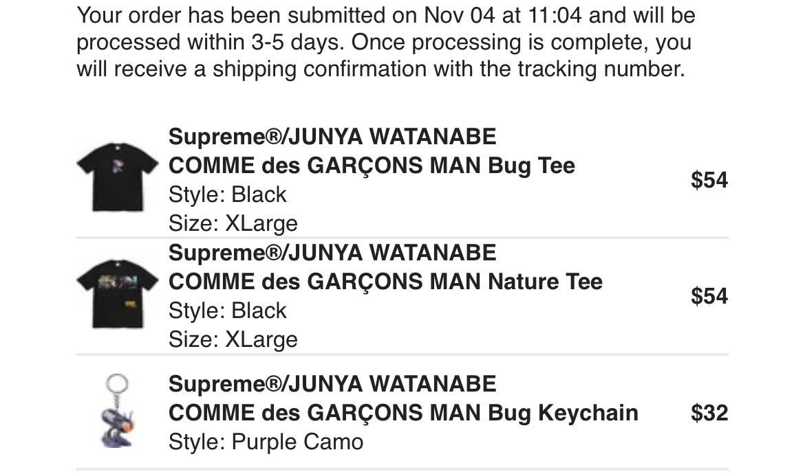 Supreme x JUNYA WATANABE COMME des GARÇONS MAN Bug Keychain