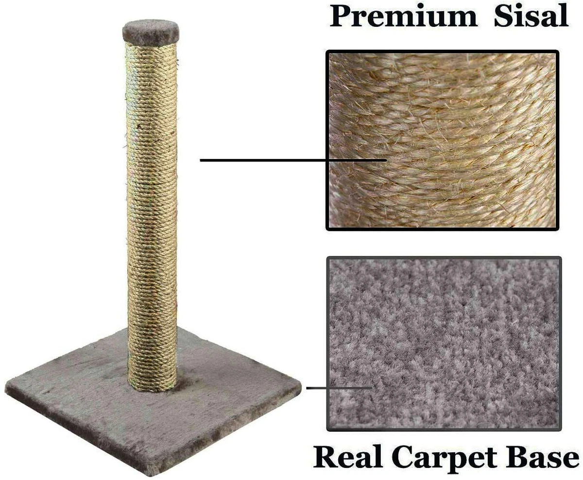 Cat 2025 scratching fabric