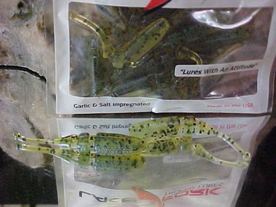 Lake Fork 2 1//4/" LBS Live Baby Shad Model 2500-145 in CHARTREUSE PEARL