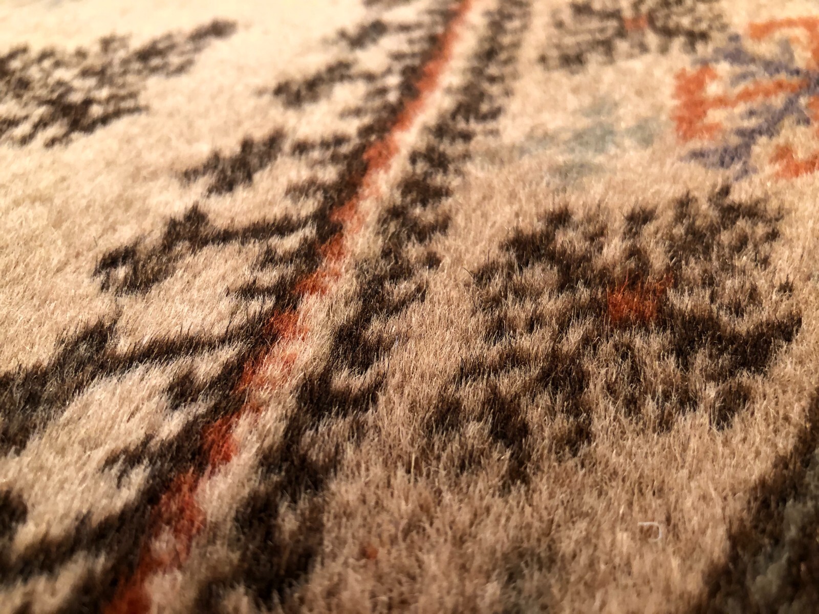 Picture 19 of 24