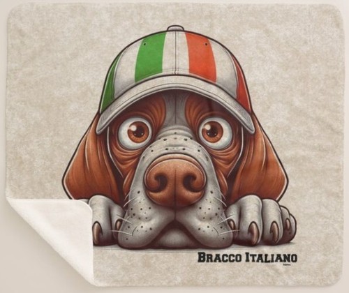 DigiPups Bracco Italiano Dog Italy Flag Hat Cartoon Sherpa Fleece Throw Blanket - Picture 3 of 6