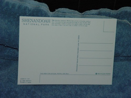 1990 Shenandoah National Park Virginia Fawn Post Card - Picture 5 of 5