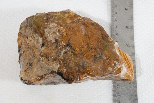 Australia Springsure legno fossile pietrificato opalizzato 1 libbra 13 oz. grezzo - Foto 2 di 22