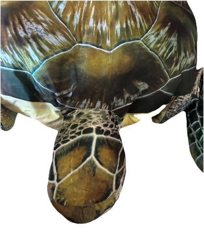 "ALMOHADA TORTUGA MARINA 30"" Cabela's Tree House Kids 2016 impresión gigante realista" - Imagen 3 de 5