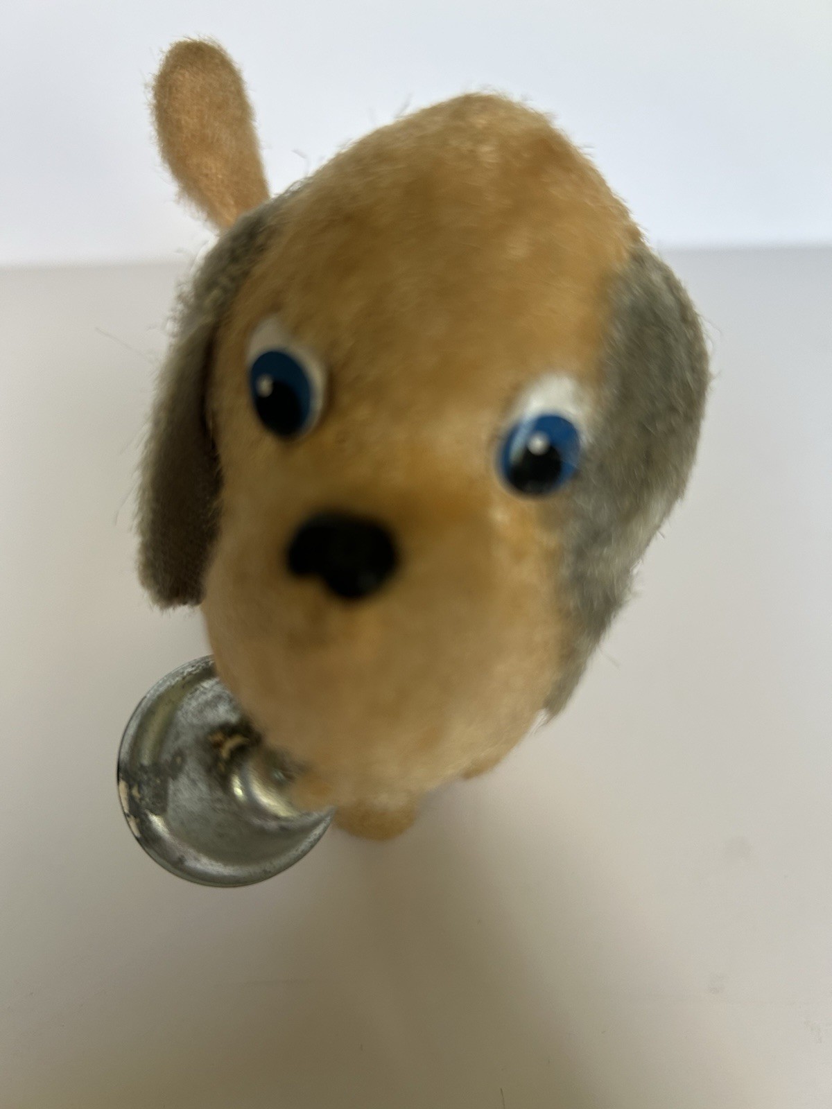 Picture 5 of 9