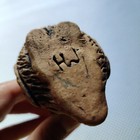 Foto 8 di 10