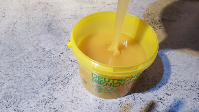 Honig, 2,5 kg Eimer, Frühtracht cremig gerührt, Ernte 2025