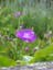 Bild 3 von 24
