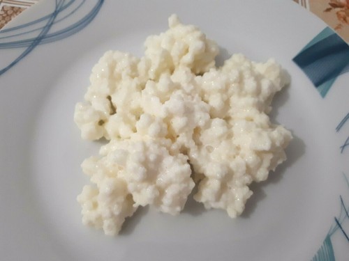 ✔️15 g KEFIR DI LATTE INTERO BIO GRANI PROBIOTICO FERMENTI LATTICI VIVI - Foto 3 di 3