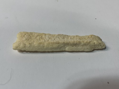 Fossil Lot Kreidezeit Dinosaurier Alter Belemnit Orthoceras versteinertes Holz & Koralle - Bild 6 von 9