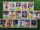 TEAM SERIES VERONA CARD FOOTBALLERS PANINI SCORE 1991/92 CARD SET 1992 ⚽️