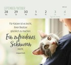 Bild 7 von 7