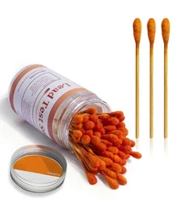 240 PCS Lead Test Swab Kit, Rapid Home Testing Swabs, 30-Second Results